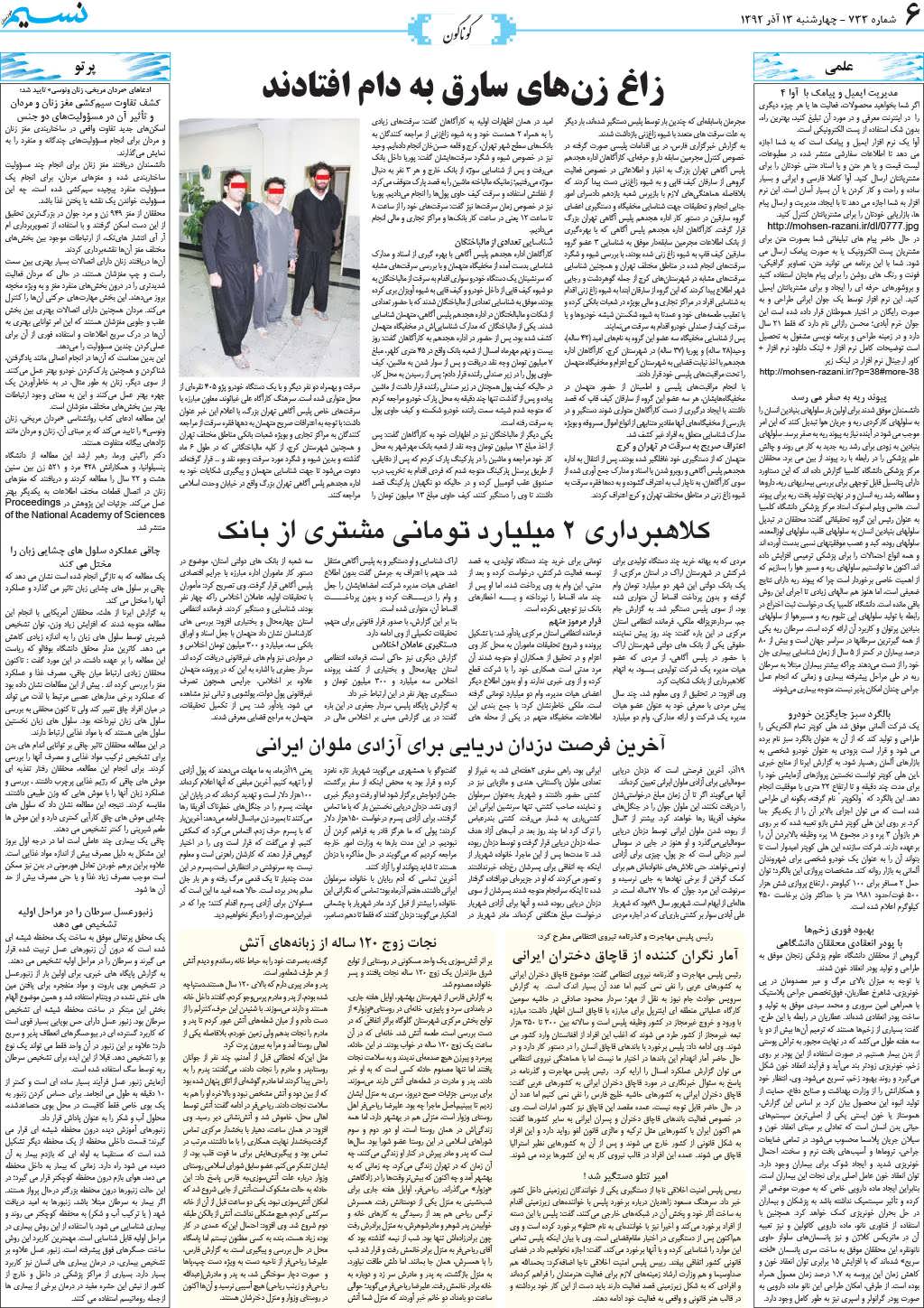 صفحه گوناگون روزنامه نسیم شماره 733